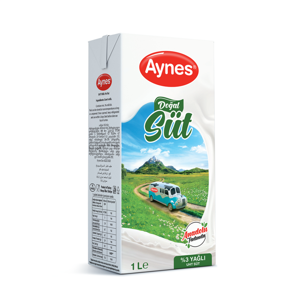 Aynes Süt 1 L